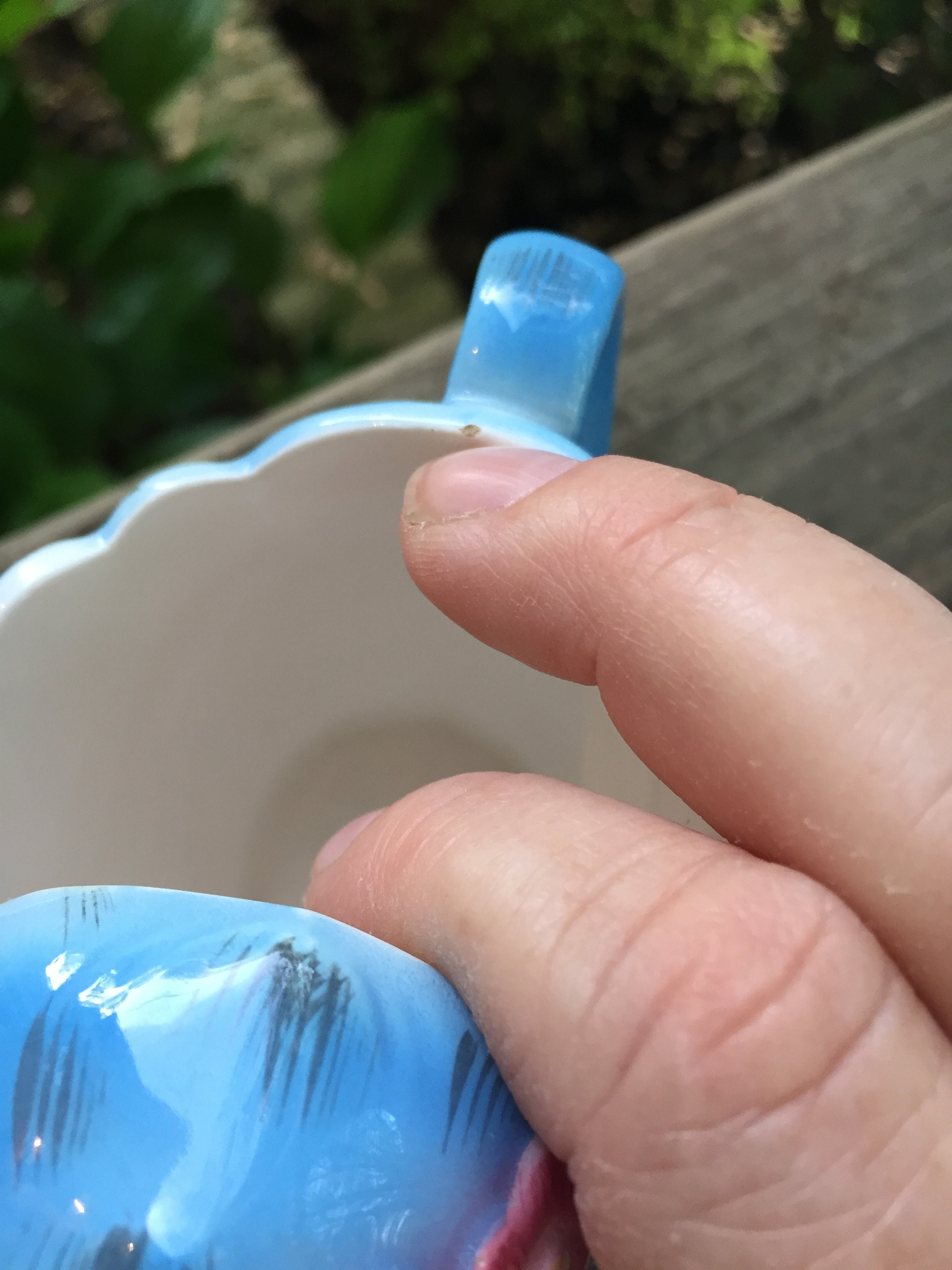 ヴィンテージ レフトン ブルーバード クリーム＆シュガー - Etsy 日本