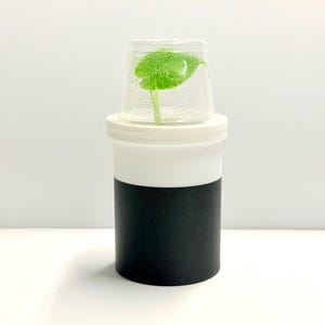 Set of 4 Micro Self-Watering Pots & Domes for Sinningia Ping Seedlings