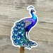 Handmade Peacock Sticker: Waterproof Die Cut Decal - Etsy