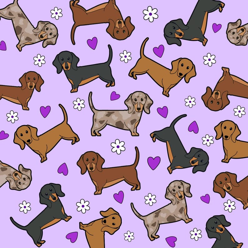 K&ouml;nnte beinhalten: Ein nahtloses Muster mit verschiedenen Dackeln in verschiedenen Farben und Posen auf einem hellvioletten Hintergrund. Die Hunde sind von wei&szlig;en Blumen und violetten Herzen umgeben.