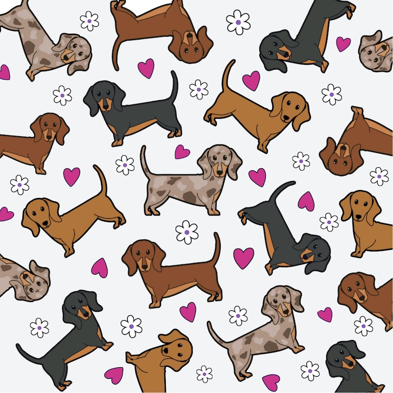 Car Coaster Set of 2 Dachshund Dog Lover Gift Multi Coat Grey