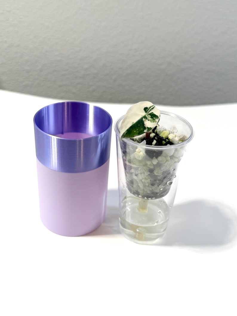 Może przedstawiać: Jasnofioletowa i lawendowa doniczka obok przezroczystej, samonawadniającej doniczki z tworzywa sztucznego. Doniczka zawiera małe kamienie, wodę i zielono-biały liść. Doniczka jest cylindryczna.