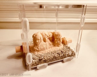 Outworld-kit medium "Mount Rushmore" - Premium mierennest formicariumkit