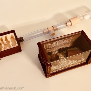 Complete Ant Habitat Kit &quot;Pirates Den&quot;