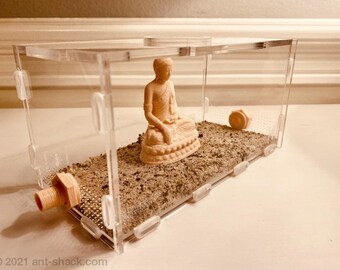 Grote buitenwereld-kit 'Buddha' - Premium mierennest formicariumkit