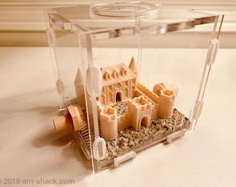 Middelgrote outworld-kit 'Castle' - Premium mierennest formicariumkit