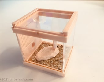 Small Ant Outworld Kit "Nature" - Premium Ant Nest Formicarium Kit