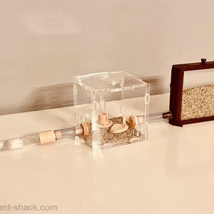 Ant Habitat “Everest“ - Premium Ant Nest Formicarium Kit