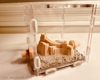 Middelgrote outworld-kit "Chinese muur" - Premium mierennest formicariumkit