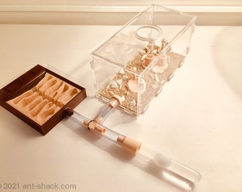 Natuurlijke mierenhabitatkit - groot