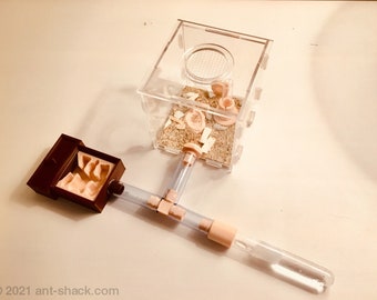 Kit voor natuurlijke mierenhabitat, klein