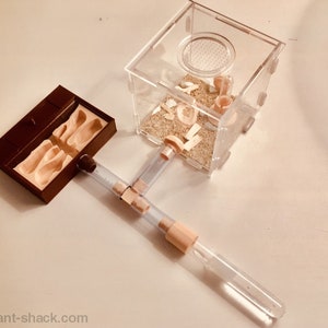 Natural Ant Habitat Kit - Medium