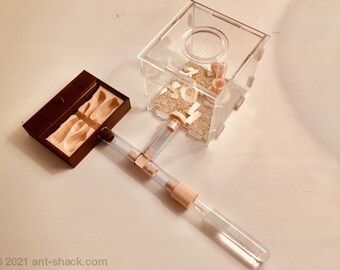 Kit met natuurlijke habitat voor mieren, medium