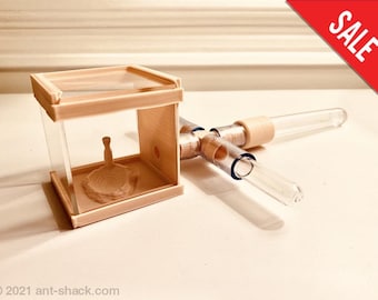 Mierenkolonie Starter Kit III - Premium Mierennest Formicarium Kit