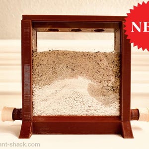 Vertical Ant Nest “Miami Beach” - Premium Ant Nest Formicarium Kit
