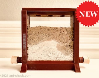 Vertical Ant Nest “Miami Beach” - Premium Ant Nest Formicarium Kit