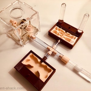 Ant Habitat Kit „Harvester Ants“ - Premium Ant Nest Formicarium Kit