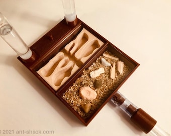 All-in-One Ant Habitat - Premium Ant Nest Formicarium Kit