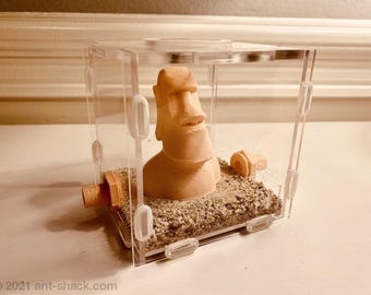 Middelgrote outworld-kit voor mieren "Moai" - Premium mierennest formicariumkit