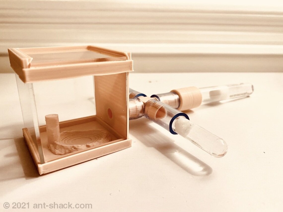 Ant Colony Starter Kit III Premium Ant Nest Formicarium Kit Etsy