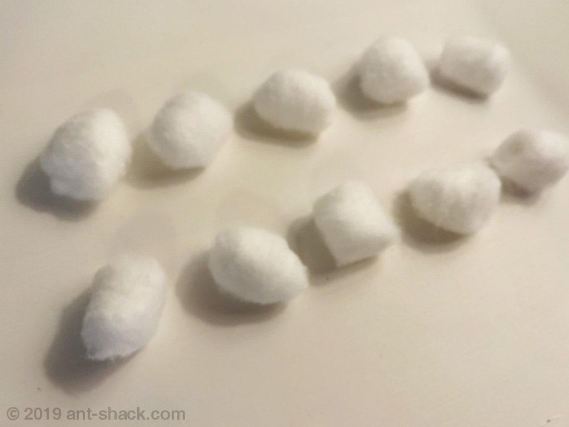 Stackable Test Tube Rack incl. Test Tubes & Cotton Premium - Etsy