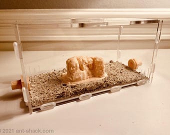 Outworld-kit grote mieren "Mount Rushmore" - Premium formicarium-kit mierennest