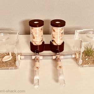 Ant Habitat “Versailles“ - Premium Ant Nest Formicarium Kit