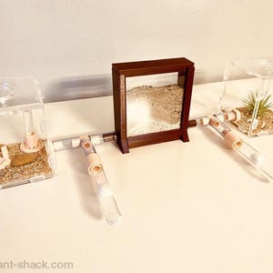 Ant Habitat “Miami Beach“ - Premium Ant Nest Formicarium Kit