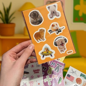 Feuille d'autocollants gonflés 3D animaux rigolos – Stickers 3D esthétiques mignons pour ordinateurs portables, téléphones, journaux intimes, iPad, Kindle, chat, hamster, capybara, koala