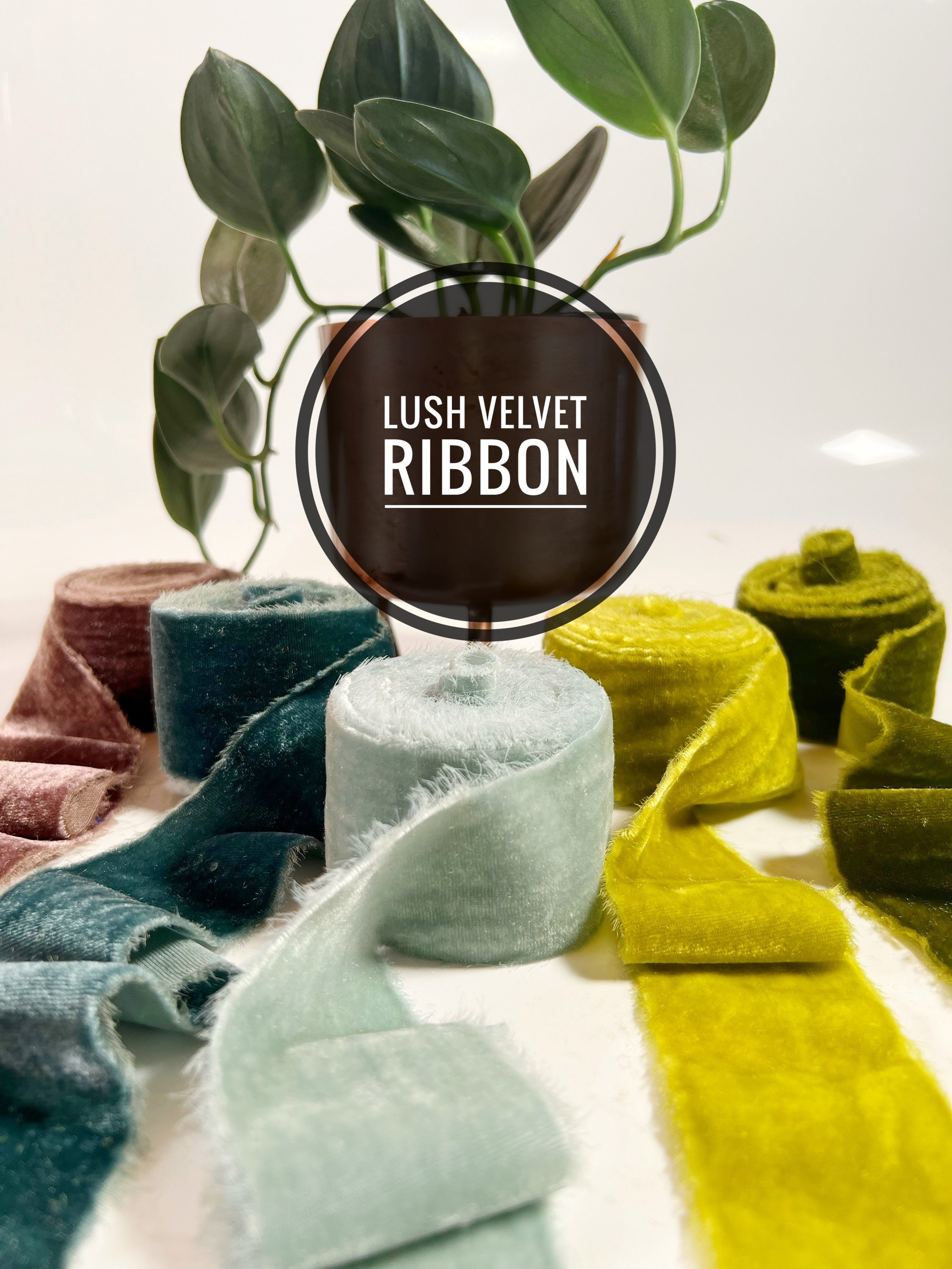 3/8 X 10y Velvet Ribbons – TK Ribbons