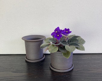 Rimmed Planter and Saucer: Dark Mountain Clay