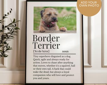 Border Terrier Photo Definition Print, Personalisable Border Terrier Print