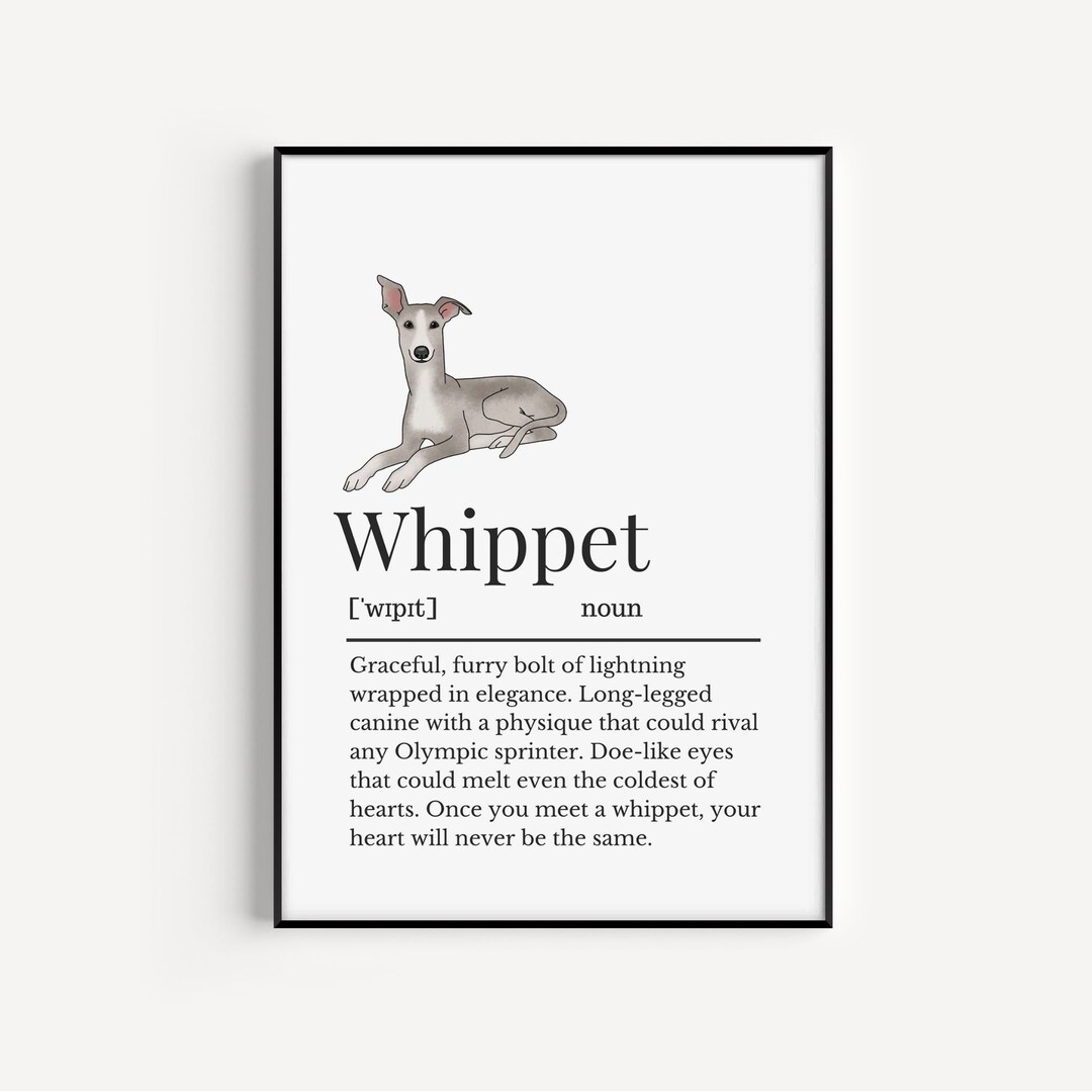 Whippet Definition Print Wall Print for Whippet Owner Etsy UK