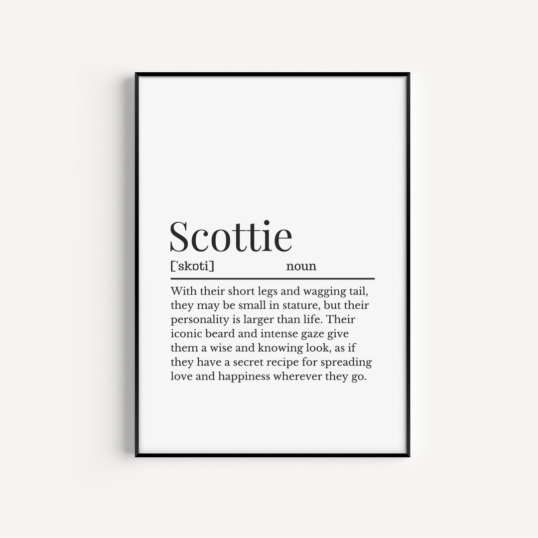 SCOTTIE DEFINITION MEANING visual data 7