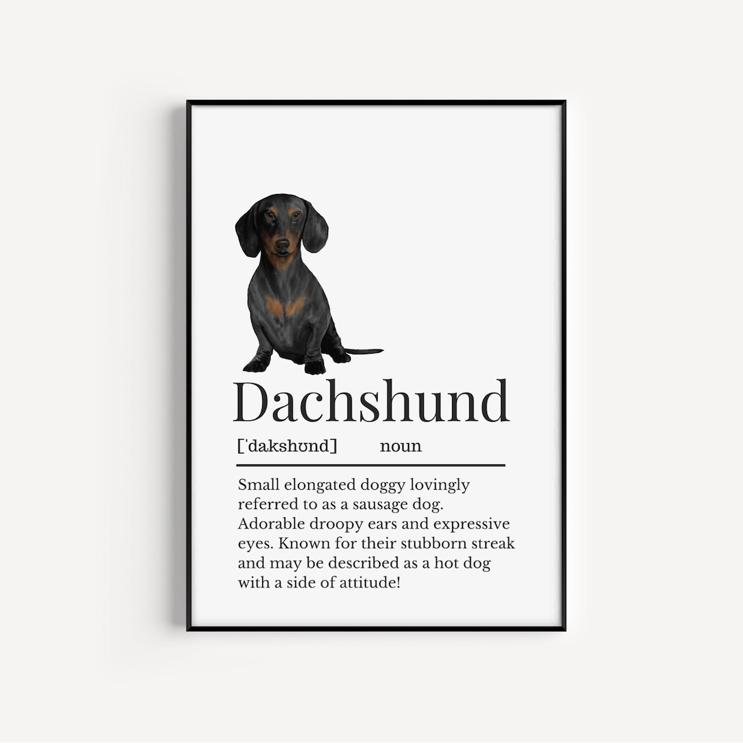 Dachshund Definition Print, Wall Print for Dachshund Owner, Sausage Dog