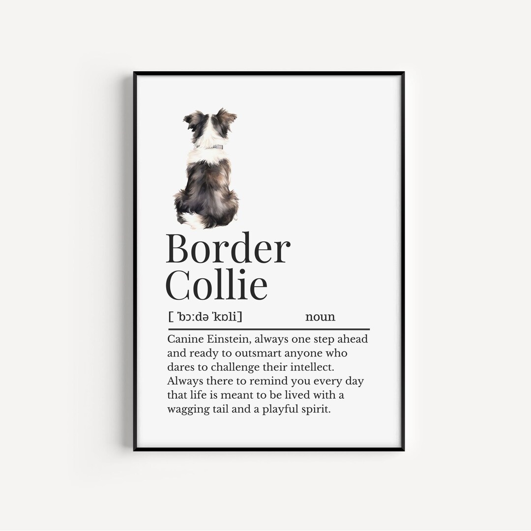 Border Collie Dog Sleeping In White Angel Wings - Llavero Acrílico, Regalo Para Los Amantes De Los Perros Border Collie, Llaveros Decorativos De 2 Caras, Llavero Para Bolso, Cartera, Accesorios De