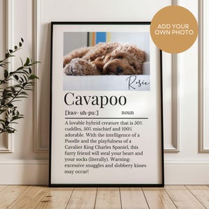 May include: A framed print with a photo of a Cavapoo dog, with the dog's name, "Rosie", written in cursive. The print includes the definition of "Cavapoo" and a description of the dog's personality.