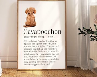 Könnte beinhalten: Eine druckbare Definition der Hunderasse Cavapoochon. Die Definition beschreibt den Cavapoochon als eine Mischung aus Cavalier King Charles Spaniel, Pudel und Bichon Frisé. Die Definition beschreibt den Cavapoochon auch als einen liebenswerten, flauschigen und gelegentlich schelmischen pelzigen Begleiter, der Ihnen das Herz und Ihre Schuhe stehlen wird. Die Definition besagt auch, dass Cavapoochons große Persönlichkeiten und einen unstillbaren Appetit auf Leckerlis haben. Eine Illustration eines braunen Cavapoochon-Hundes ist in der oberen linken Ecke des Bildes zu sehen.
