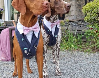 Large Dog Tuxedo/Suit Wedding Harness. Dog Suit. Labrador/Retriever. Bespoke Made-to-Match Groom/Best Man. FREE MATCHING LEAD.
