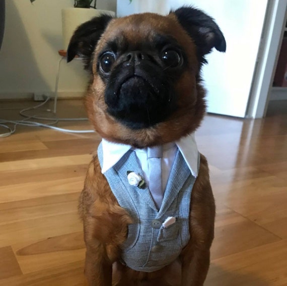 Cravate pour chien en strass - Cravates strass pour chiens pas cheres