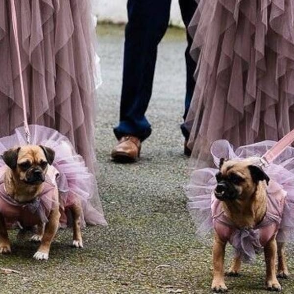 Dog Wedding/Bridesmaid Dress Harness. Luxury, Bespoke Made-to-Measure with FREE matching lead!