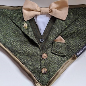Dog Wedding Suit/Tuxedo Bandana in your Wedding Colours. Luxury, Bespoke Made-to-Measure.