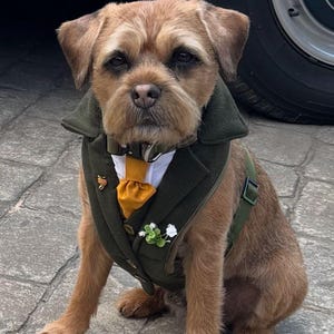 Dog Tuxedo Wedding Suit Harness in your Wedding Colours. Luxury, Bespoke Made-to-Measure with FREE matching lead!
