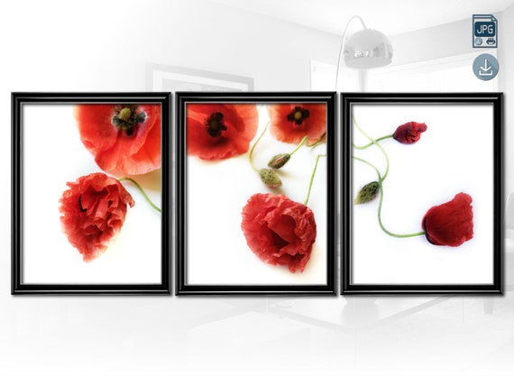 Red Poppy Art Floral Print Poppies Art Poppy Wall Art Poppies Etsy