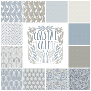 Timothy - Gray/Blue - Coastal Calm - Amy MacCready - Cloud 9 Fabrics - Poplin Timothy - Gray/Blue - Coastal Calm - Amy MacCready - Cloud 9 Fabrics - Poplin