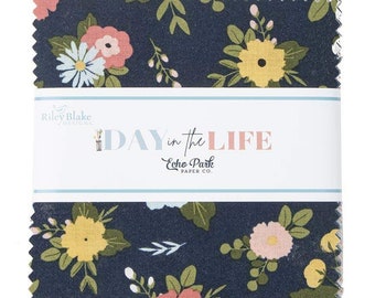 Day In The Life  5" Stacker by Echo Park Paper Co. for Riley Blake Designs