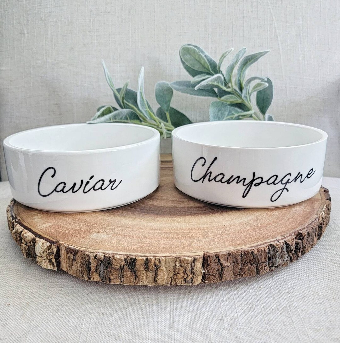 Champagne and Caviar Dog Bowls Funny Dog Bowls Dog Bowls Etsy
