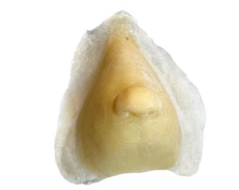 Whoville Flüssiglatex Prothesenase - Grinch Cosplay