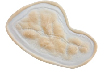 May include: A close-up of a light brown, irregularly shaped, textured, organic material. The material has a smooth, white border.