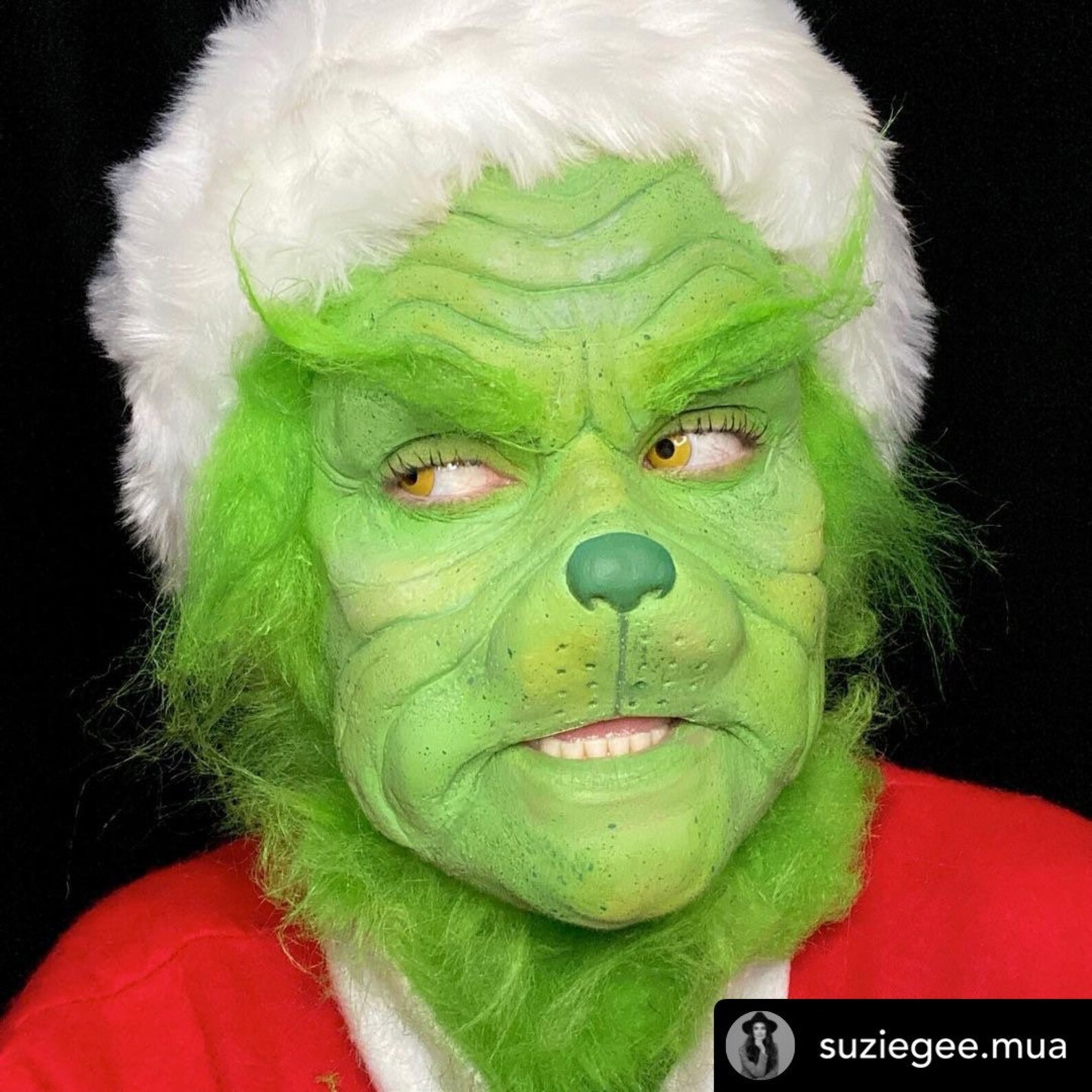The Grinch Latex Prosthetic / Grinch Costume / Latex Mask Etsy